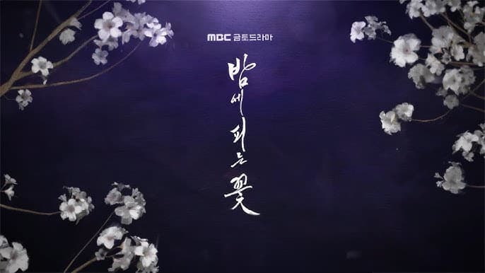 드라마 '밤에 피는 꽃'